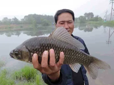 사짜와 대물 마릿수 조과를.......