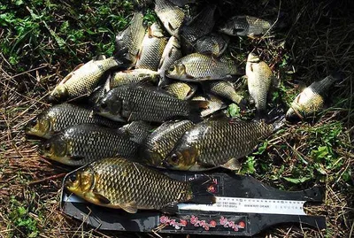 허리급 대물들........