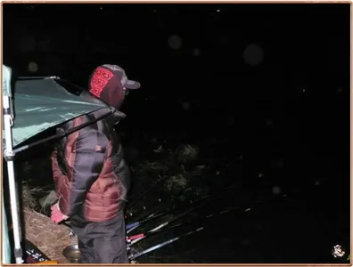 진위천 조황 소식