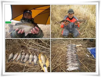 떼월척을 만나다 ~~