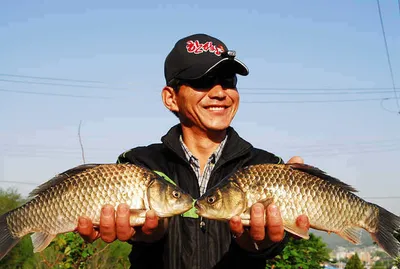 대단한 손맛.....