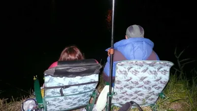 진위천 조황 소식