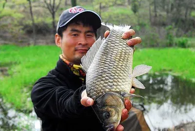 왕성한 먹이활동을 보이고....