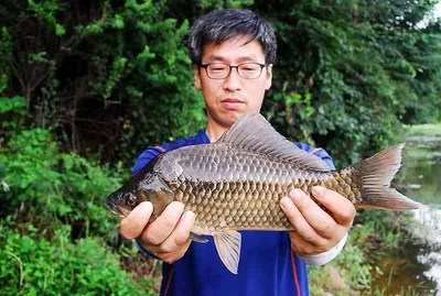 휴가낚시 대물들을......