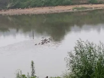 [청미천] 낚시 절대 가능합니다