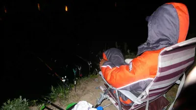 진위천 조황 소식