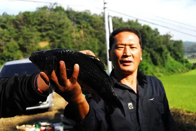 사짜 마릿수 조과를.....