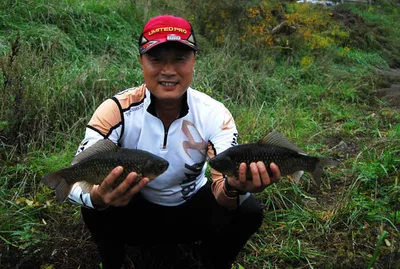 의성권 조황입니다