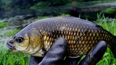 장마를 앞에다 두고....♬♬