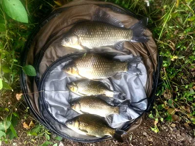 '가을시즌'-대구,경산권 소식입니다.