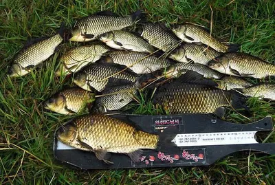 대박조짐이 .....