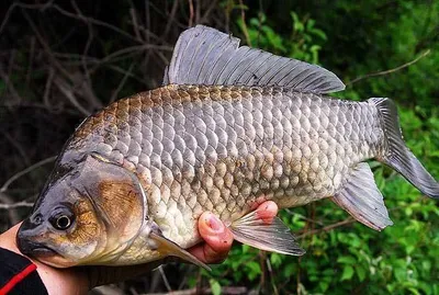 배수 걱정 없는곳 ......