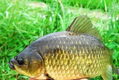 꾸준한 조과가.....