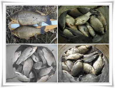 대박으로시작 ~~