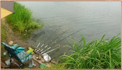 진위천 조황 소식