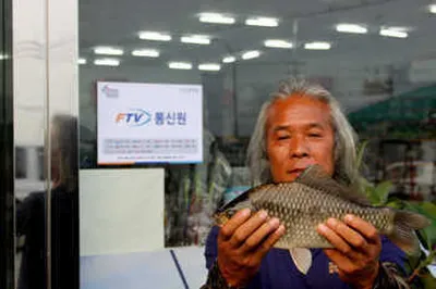 한여름-경산,영천권 조황 안내