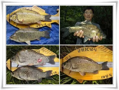 4짜형제와 대물,월척들 ~~