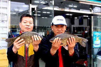 4월은 대물 붕어의 계절