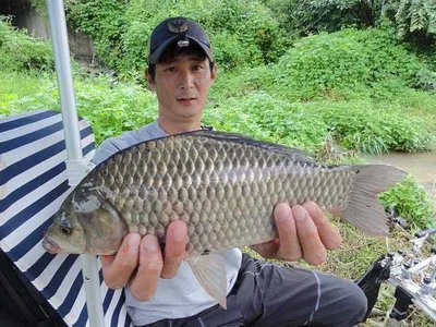 대물에 마릿수 손맛까지......
