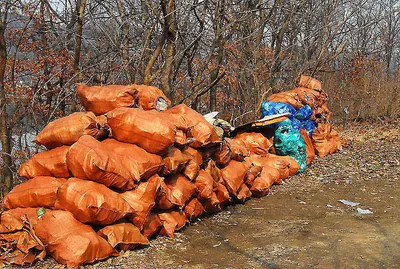 여기저기 대물소식들이 .....