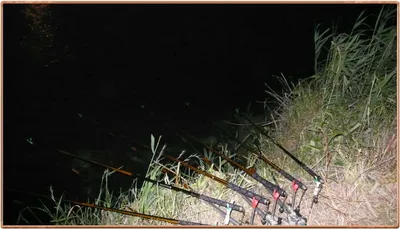 진위천 조황 소식