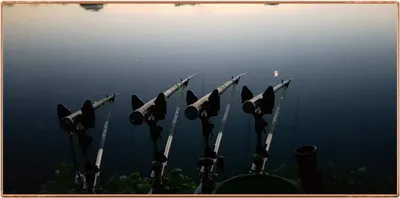 진위천 조황 소식