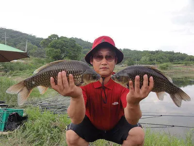 대단하십니다....