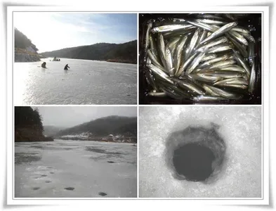 내의지빙질과 쓰레기수거당부 ~~