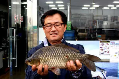 만추의 대구동부권 조황소식 입니다.