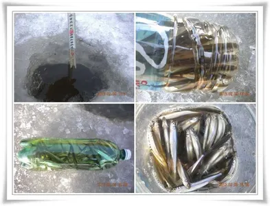 금일, 빙어대박조황 ~~