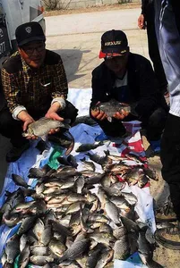 터졌구나 산란이.....