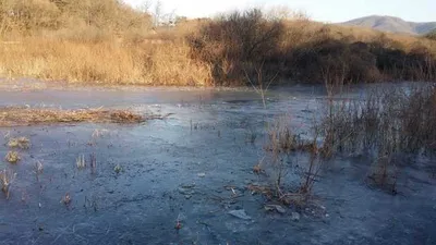 [고삼지] 빙질상태 안내
