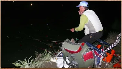 진위천 조황 소식