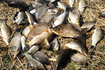 쏟아지는구나.....