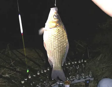 대구 경산권 조황안내 입니다.