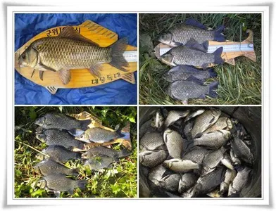 기록어의 계절 ~~