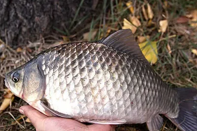 2016 새해 첫 인사 드립니다.