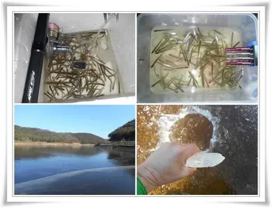 군위빙어터 빙질 ~~