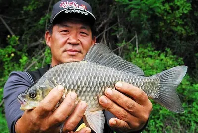 배수기에 대물들이.......