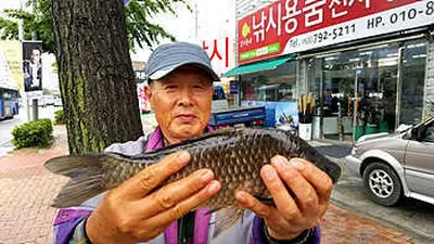 "시즌의 절정"풍성한 5월중순의 조황안내