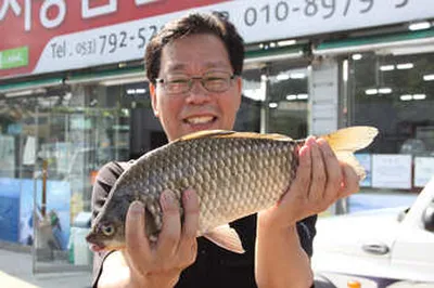 하지(夏至)를 지나 한여름으로..[청도 금천권]