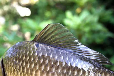 5월의 중심에선 저수지(계곡지편)