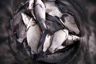 좋아졌습니다....