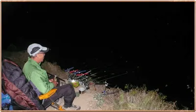 진위천 조황 소식