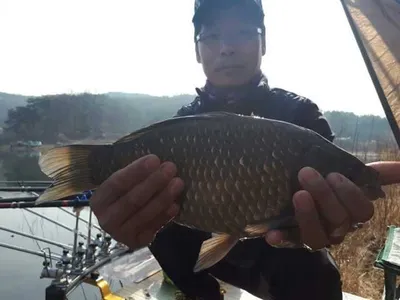 [고삼지] 노지에서 4짜들이 슬슬