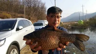 [고삼지] 노지에서 4짜들이