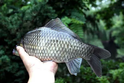 여름풍경과 조황소식