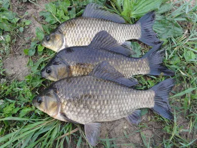 끝내줘요 ..........