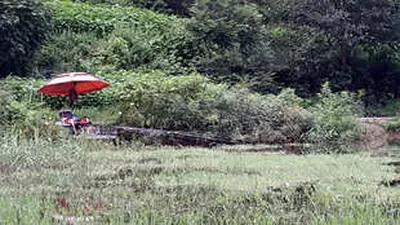 비온뒤의 저수지 모습