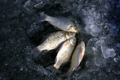 대구 동부권 소식 입니다.